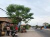 Nekat Gasak Motor di Tegowanu Grobogan, Sopir Ekspedisi Asal Semarang Babak Belur Ditangkap Warga