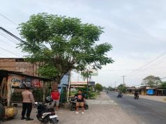 Nekat Gasak Motor di Tegowanu Grobogan, Sopir Ekspedisi Asal Semarang Babak Belur Ditangkap Warga