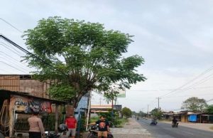 Nekat Gasak Motor di Tegowanu Grobogan, Sopir Ekspedisi Asal Semarang Babak Belur Ditangkap Warga