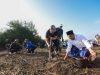 Tumbuhkan Kesadaran Ekologis, Taj Yasin Ajak Ratusan Santri Tanam Mangrove di Rembang