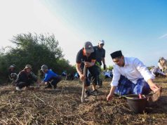 Tumbuhkan Kesadaran Ekologis, Taj Yasin Ajak Ratusan Santri Tanam Mangrove di Rembang