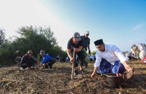 Tumbuhkan Kesadaran Ekologis, Taj Yasin Ajak Ratusan Santri Tanam Mangrove di Rembang