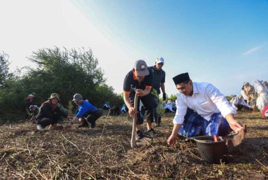 Tumbuhkan Kesadaran Ekologis, Taj Yasin Ajak Ratusan Santri Tanam Mangrove di Rembang