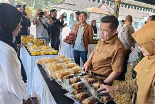 HIPMI Wonosobo Tarik Investor di Bidang Pertanian, Pariwisata dan UMKM