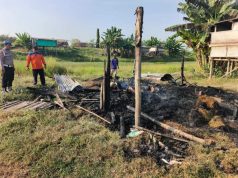 23 Kambing Hangus Terbakar di Undaan Kudus, Kerugian Capai Puluhan Juta