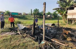 23 Kambing Hangus Terbakar di Undaan Kudus, Kerugian Capai Puluhan Juta