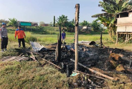 23 Kambing Hangus Terbakar di Undaan Kudus, Kerugian Capai Puluhan Juta