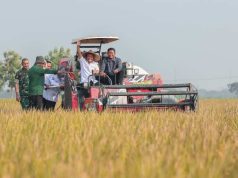 Produksi Padi Jateng Tembus 6,69 Juta Ton, Ahmad Luthfi Siapkan Strategi Hadapi Kemarau