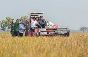 Produksi Padi Jateng Tembus 6,69 Juta Ton, Ahmad Luthfi Siapkan Strategi Hadapi Kemarau