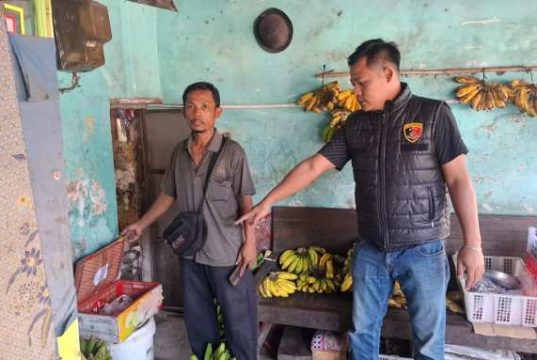 Kepergok Warga saat Diduga Menganbil Uang di Kios Buah, Perempuan Dibawa ke Polsek Gebog