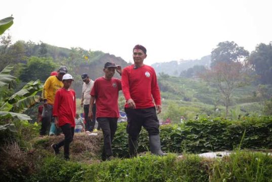 Sumanto Ajak Petani Lalung Budidaya Kangkung, Cukup 2 Jam Sehari Hasilkan Puluhan Juta