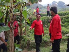Ketua DPRD Jateng Sumanto Gerakkan Penanaman Pohon di Girilayu, Antisipasi Krisis Air saat Kemarau