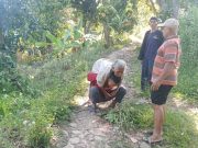 Nenek 77 Tahun Hilang di Hutan Gebog Kudus Akhirnya Ditemukan Selamat