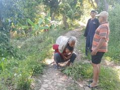 Nenek 77 Tahun Hilang di Hutan Gebog Kudus Akhirnya Ditemukan Selamat