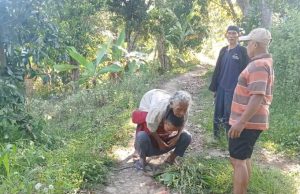 Nenek 77 Tahun Hilang di Hutan Gebog Kudus Akhirnya Ditemukan Selamat