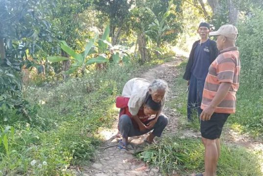 Nenek 77 Tahun Hilang di Hutan Gebog Kudus Akhirnya Ditemukan Selamat