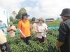 Bayer Gelar Temu 500 Petani Muda di Kabupaten Magelang