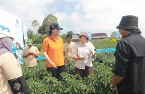 Bayer Gelar Temu 500 Petani Muda di Kabupaten Magelang
