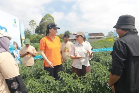 Bayer Gelar Temu 500 Petani Muda di Kabupaten Magelang