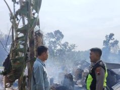 Api Melalap Kandang Ayam Kapasitas 20 Ribu Ekor di Grobogan, Polisi Ungkap Dugaan Penyebabnya