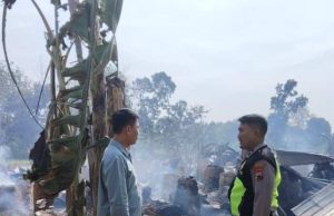 Api Melalap Kandang Ayam Kapasitas 20 Ribu Ekor di Grobogan, Polisi Ungkap Dugaan Penyebabnya