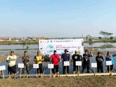 Dukung Hari Lingkungan Hidup 2026, BPI Siapkan 30.000 Bibit Mangrove untuk Pesisir Batang