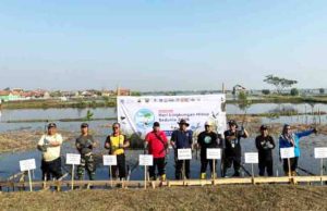 Dukung Hari Lingkungan Hidup 2026, BPI Siapkan 30.000 Bibit Mangrove untuk Pesisir Batang