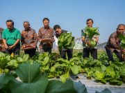Kota Magelang Bergerak Hadapi Perubahan Iklim