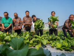 Kota Magelang Bergerak Hadapi Perubahan Iklim