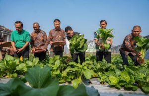 Kota Magelang Bergerak Hadapi Perubahan Iklim