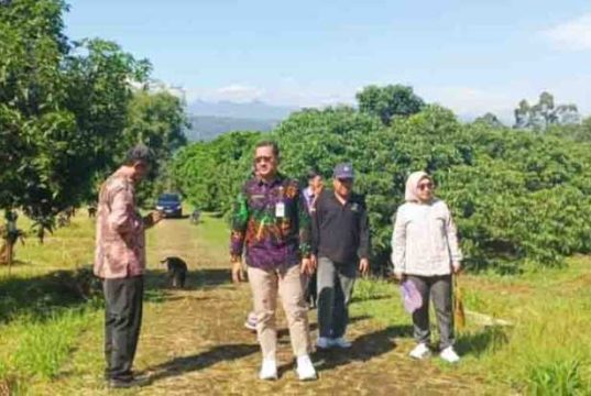 Pemkab Batang Matangkan Persiapan Pembangunan Sekolah Rakyat di Subah