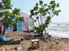 Dua Hektare Lahan Pantai Sigandu Batang Terendam Rob