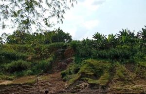 Kabar Duka dari Ngaringan, Bocah 8 Tahun Meninggal Setelah Tenggelam di Sungai Lusi