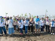 Rayakan Milad ke-18, FKG Unissula Tanam 1.800 Mangrove