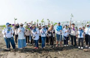 Rayakan Milad ke-18, FKG Unissula Tanam 1.800 Mangrove