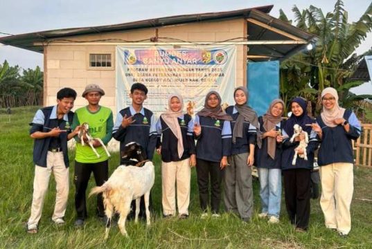 Mahasiswa KKN UIN Walisongo Dampingi Penataan Administrasi BUMDes Desa Ngegot