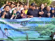 Menghijaukan Pesisir Tegal, Saat Pegadaian dan Pemerintah “Turun Tangan” Kepung Perubahan Iklim Pegadaian