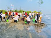 Hari Lingkungan Hidup Sedunia, PLN IP UBP Semarang Bersama Pemprov Jateng Tanam 2.000 Mangrove