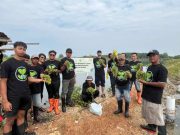 PLN UIK Tanjung Jati B Dorong Pemberdayaan Pesisir Lewat Demplot Budidaya Latoh di Pantai Blebak