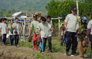 Sambut Hari Mangrove Sedunia, PLN UIK Tanjung Jati B Tanam 14.000 Mangrove di Pesisir Ujungwatu Jepara