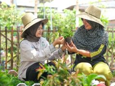 PT PLN IP Dorong Kemandirian KWT Cantik Bahari Tanjung Mas Melalui Urban Farming Berbasis Energi Bersih