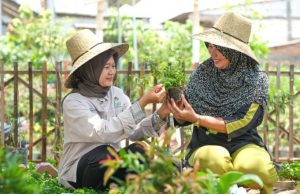 PT PLN IP Dorong Kemandirian KWT Cantik Bahari Tanjung Mas Melalui Urban Farming Berbasis Energi Bersih