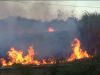 Lahan Tebu Terbakar di Gebog Kudus, Petani Lansia Dilaporkan Hilang Misterius