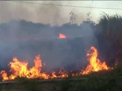 Lahan Tebu Terbakar di Gebog Kudus, Petani Lansia Dilaporkan Hilang Misterius