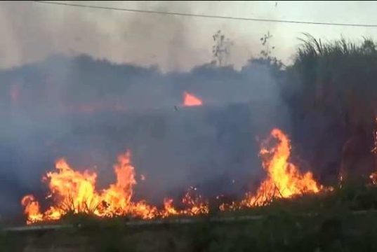 Lahan Tebu Terbakar di Gebog Kudus, Petani Lansia Dilaporkan Hilang Misterius