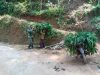 Aksi Sertu Ismail Bantu Warga Warnai TMMD Watuduwur