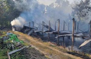 Gasolek Diduga Bocor, Kandang Ayam di Padureso Terbakar