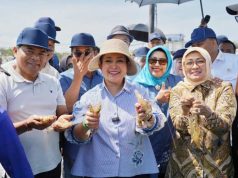 Titiek Soeharto Puji Kualitas Udang BUBK Petanahan