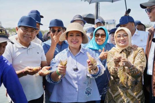Titiek Soeharto Puji Kualitas Udang BUBK Petanahan
