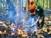 Latgab Penanggulangan Karhutla Digelar di Alas Ketu